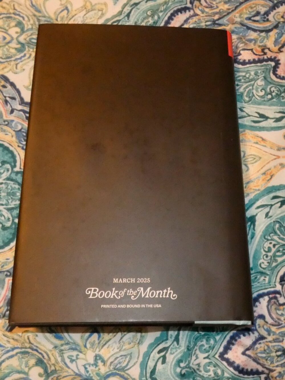Count My Lies by Sophie Stava (BOTM) - Picture 2 of 2